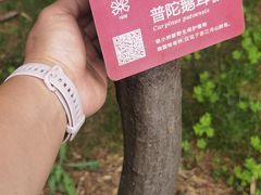 -昆明植物园
