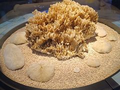 -天津自然博物馆