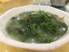 -姚林轩