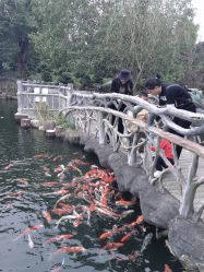 -长沙小顽国景区