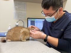 -小伙伴宠物医院•急重症转诊中心·老年专科·犬猫全科(北大街总院)