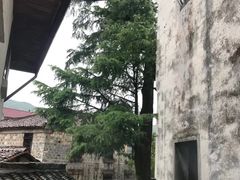 -仙霞关景区