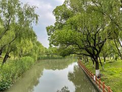 -九科绿洲