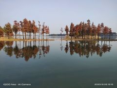 -贡湖湾湿地公园