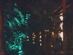 -西安国际创新人才交流中心•药浴温泉