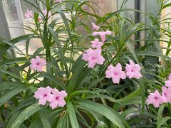 -国家植物园南园