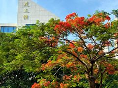 -厦门大学(思明校区)