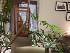 -一尺花园(安和花园店)