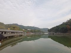 -银湖山郊野公园-相思林