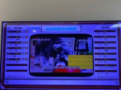 -北京观赏动物医院·24小时大型综合·猫专科·异宠专科