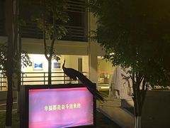 -西昌邛海宾馆
