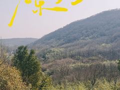 -南京老山国家森林公园
