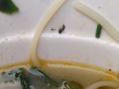 红烧牛肉米线-钟方模白家肥肠粉(春熙店)