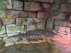 -顺德南宏海立方海洋公园