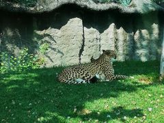 -北京野生动物园