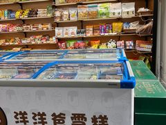 -洋洋爸雪糕(万科店)