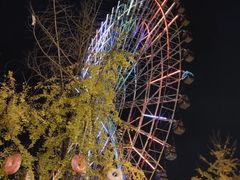 -国色天乡三期陆地乐园