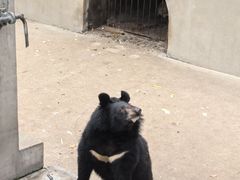 -保定市动物园