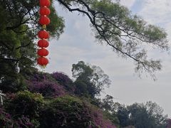 -广州市白云山风景名胜区