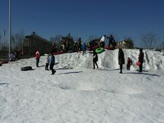 -武清南湖绿博园