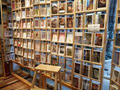 -猫的天空之城概念书店(束河店)