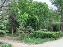 -长春市南湖公园