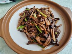 干锅鹿茸菇-长春观斋补堂素菜馆