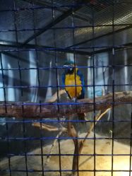 -酷嗒动物文化乐园(cutezoo西溪乐天城店)