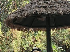 -广州长隆野生动物世界