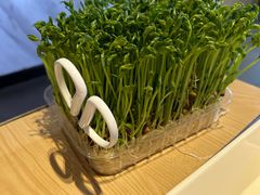 -海底捞火锅(海悦天地店)