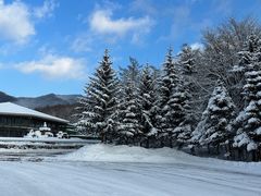 -横道河子东北虎林园