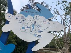 -广东惠东海龟国家级自然保护区