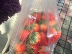 -百果园PAGODA(应元路店)