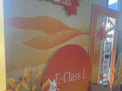 -北京之星奔驰4S店(亦庄店)