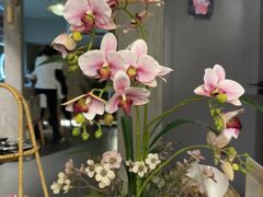-施奈儿.洗头頭療.按摩SPA.采耳(上梅林店)
