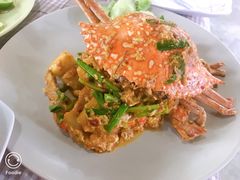 -Jungle Kitchen