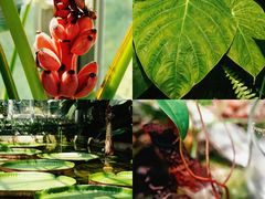 -国家植物园南园