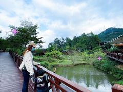 -泉州海丝野生动物世界