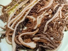 -二荆条·蜀鲜汇城市森林火锅