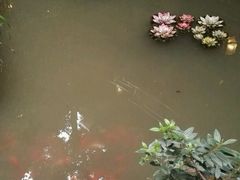 -钦善斋(武侯祠店)
