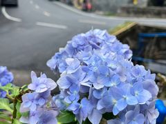 -竹庄餐馆·26年店(南昆山景区店)
