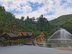 -西双版纳原始森林公园