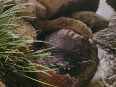 -湖南别院·美学庭院餐厅(惠阳店)