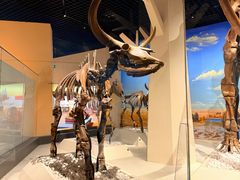 -国家自然博物馆