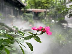 -大妙火锅·非物质文化遗产(东湖公园店)