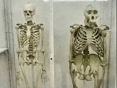 -Answer Fitness 答案健身(奥体店)