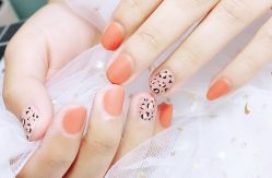 -甲舍美甲美睫艺术馆