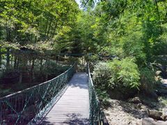 -宁波五龙潭景区