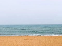 -渡海小渔村.老辈日照菜