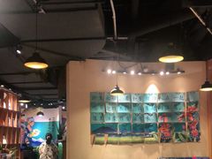 大堂-觅山云南菜(泊富ICITY店)